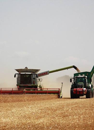 Navegue pela Categoria de Agro